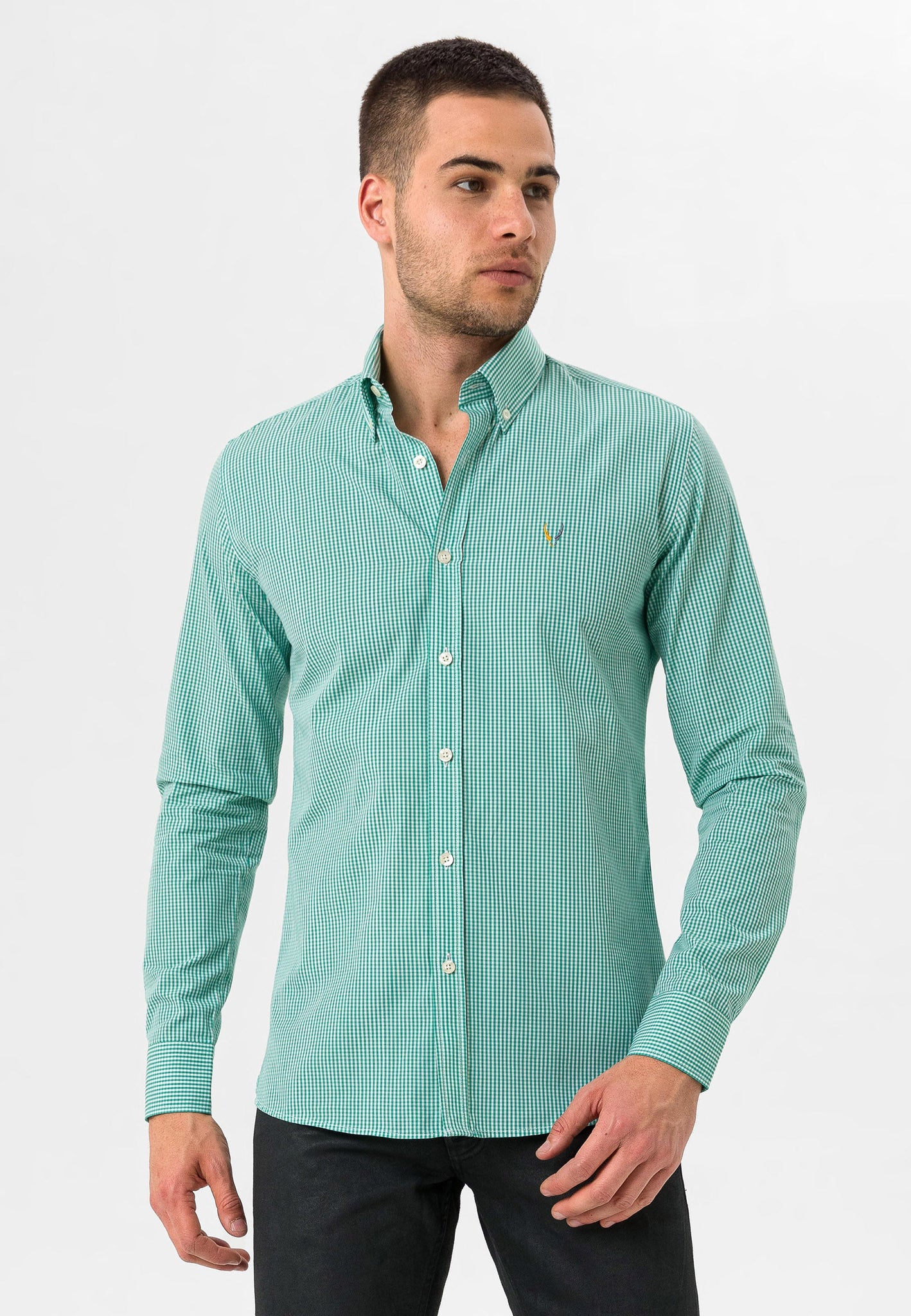 Slim Fit GREEN STRIPPED