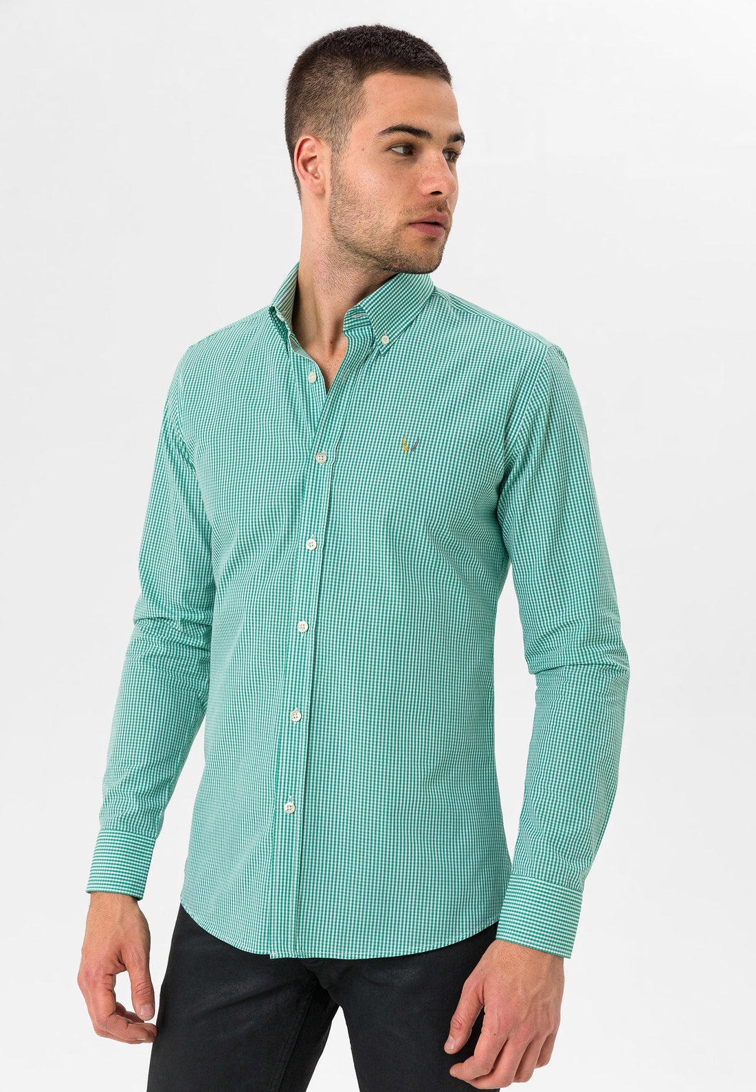 Slim Fit GREEN STRIPPED