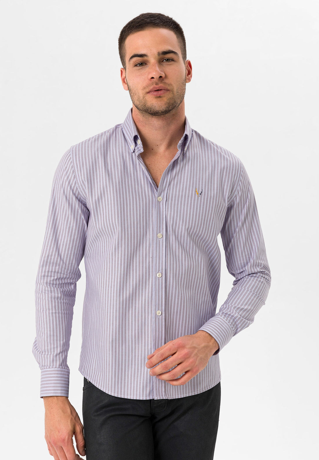 Slim Fit BLUE STRIPPED